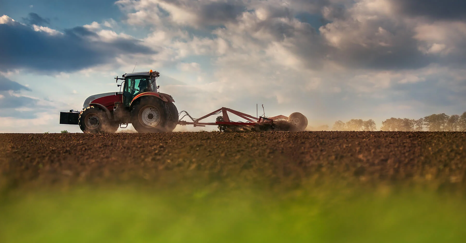 Italia Zuccheri, Azienda