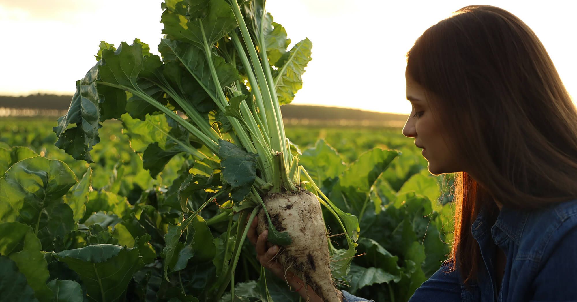 Italia Zuccheri, Scegli l'Italia