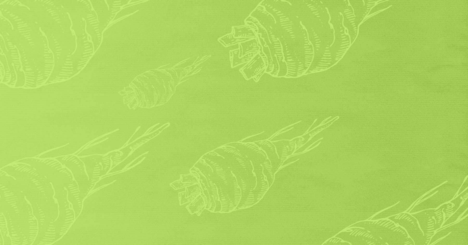 Italia Zuccheri, Nostrano Biologico