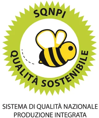 Progetto di adesione e gestione SQNPI